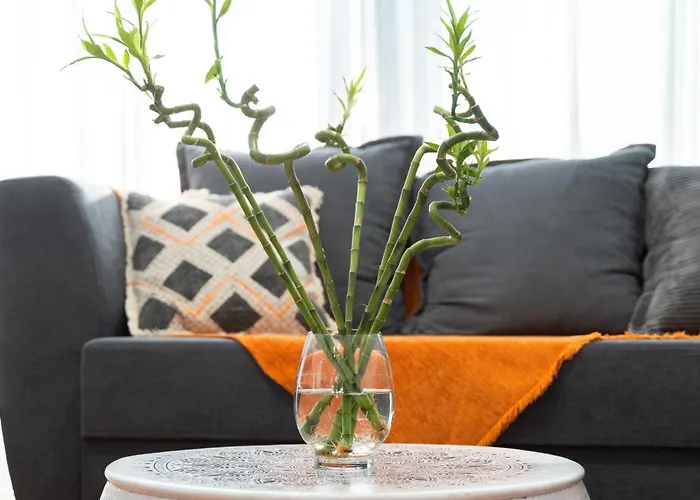 Apartamento Colorful